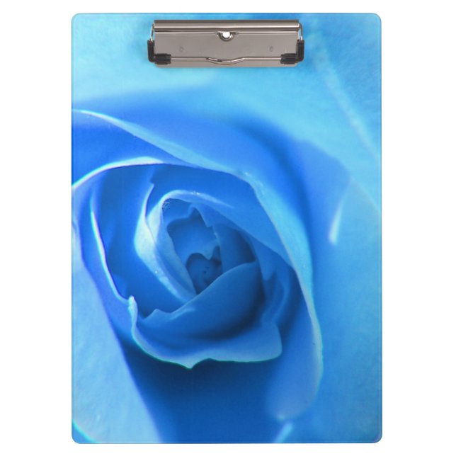 Carpeta De Pinza flor de rosa azul elegante, moderna y fresca. flor (Anverso)
