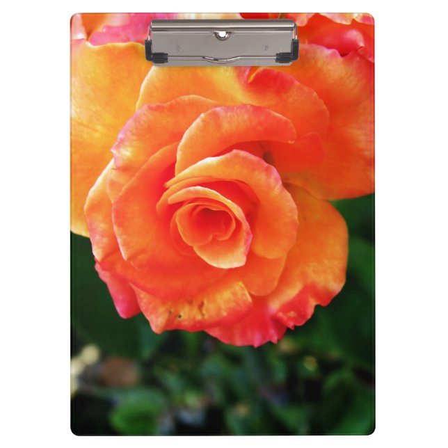 Carpeta De Pinza Flor de rosa naranja (Anverso)