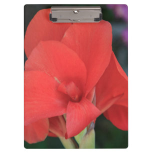 Carpeta De Pinza Flor encontrada en los jardines del D. Carlos I