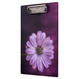 Carpeta De Pinza Flor morada en flor