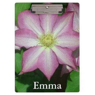 Carpeta De Pinza Flor Primaria Clematis rosa y blanca