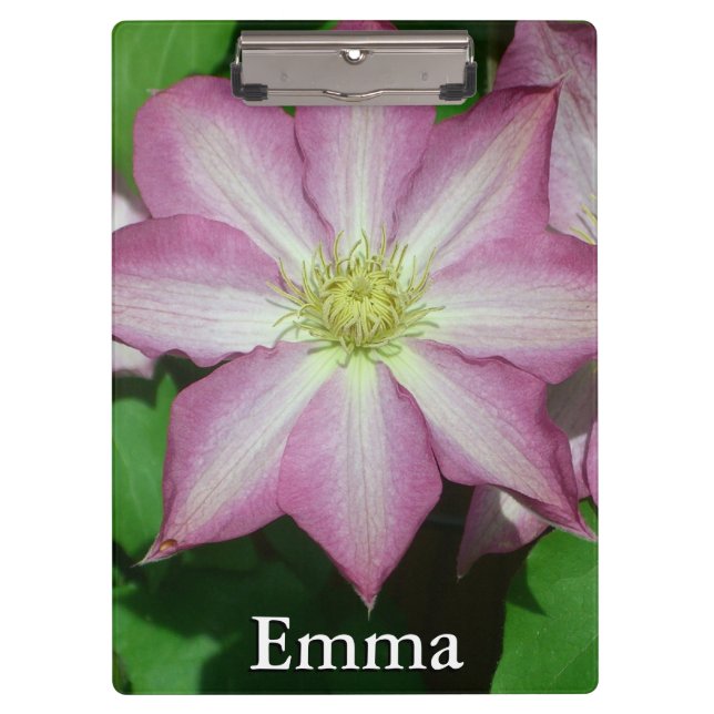 Carpeta De Pinza Flor Primaria Clematis rosa y blanca (Anverso)