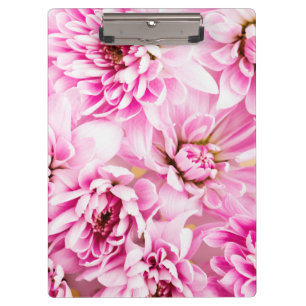 Carpeta De Pinza Flor rosa de crisantemo