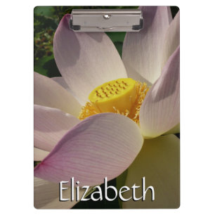 Carpeta De Pinza Flor rosa Lotus III flor de verano
