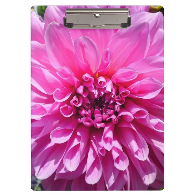 Carpeta De Pinza Flor rosa morada de Dahlia (Anverso)