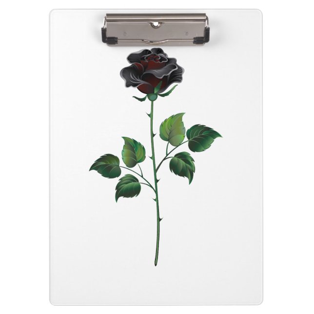 Carpeta De Pinza Flor rosa negra (Anverso)