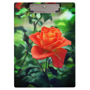 Carpeta De Pinza Flor rosa rosada natural
