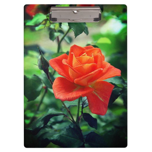 Carpeta De Pinza Flor rosa rosada natural (Anverso)
