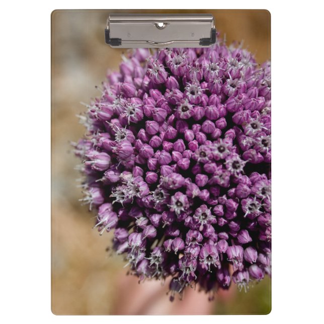 Carpeta De Pinza Flor salvaje (Anverso)