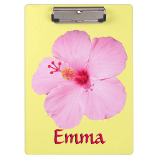 Carpeta De Pinza Flor tropical Hibiscus rosa