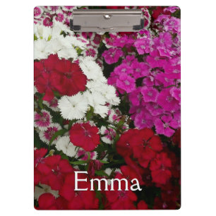 Carpeta De Pinza Floral blanca, rosa y roja de Dianthus
