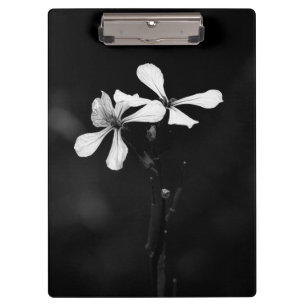 Carpeta De Pinza floral blanca y negra mínima