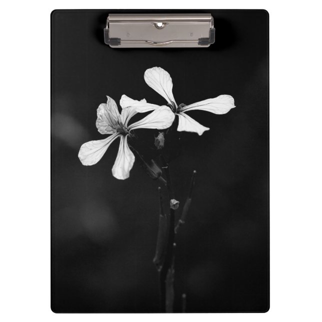 Carpeta De Pinza floral blanca y negra mínima (Anverso)