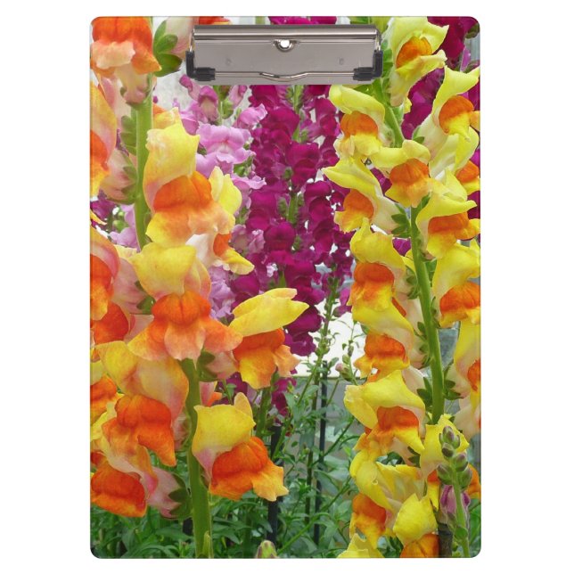 Carpeta De Pinza Floral colorida de Snapdragons (Anverso)