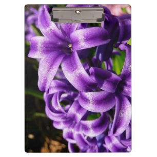 Carpeta De Pinza Floral de primavera azul Hyacinin II