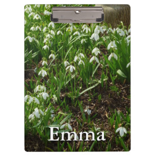 Carpeta De Pinza Floral de primavera (Galanthus)