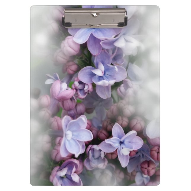 Carpeta De Pinza Florecimiento de la laguna (Anverso)