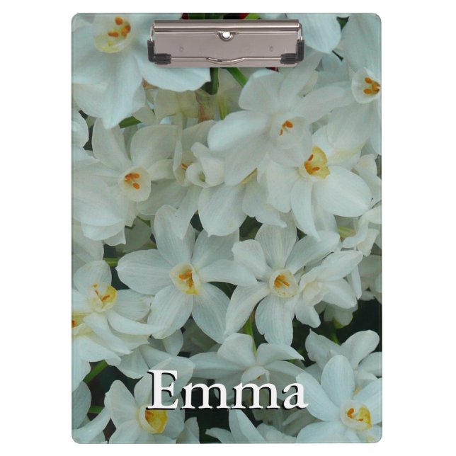 Carpeta De Pinza Flores blancas de arcissus paperblancas (Anverso)