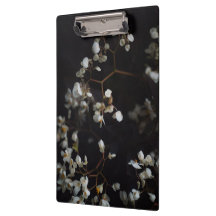 Flores blancas melancólicas sobre fondo oscuro