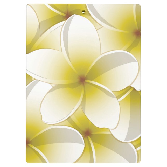 Carpeta De Pinza Flores brillantes de Frangipani/ Plumeria (Reverso)