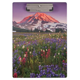 Carpeta De Pinza Flores coloridas en un parque nacional más