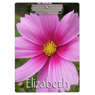 Carpeta De Pinza Flores Cosmos rosadas Flores silvestres