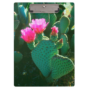 Carpeta De Pinza Flores de Cactus de Cola de Castor