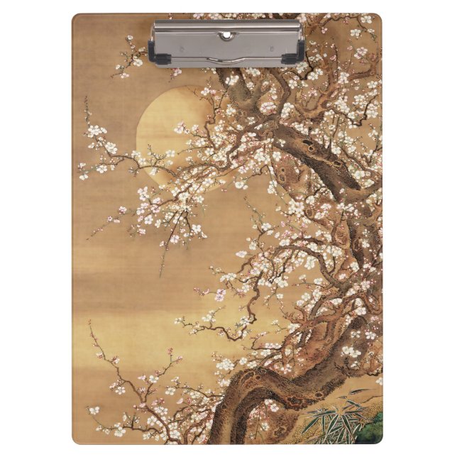 Carpeta De Pinza Flores de ciruelas antiguas japonesas a la luz de  (Anverso)