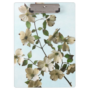 Carpeta De Pinza Flores de dogwood blancas en llamas