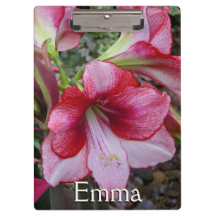 Carpeta De Pinza Flores de feriado rojo de Amaryllis y Poinsettia