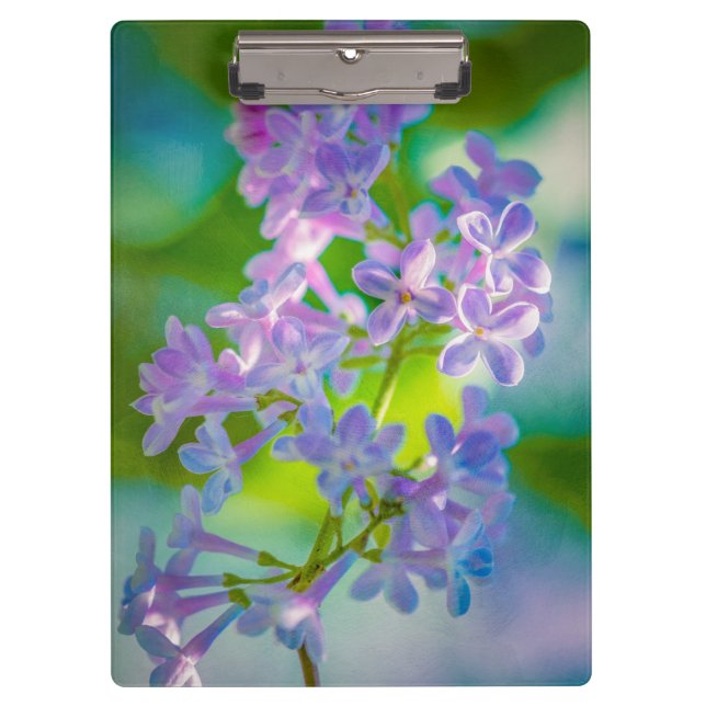 Carpeta De Pinza Flores de Lilac Púrpura (Anverso)