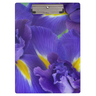 Carpeta De Pinza flores de lirio