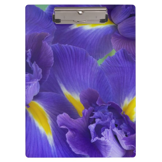 Carpeta De Pinza flores de lirio (Anverso)