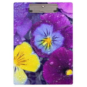 Carpeta De Pinza Flores de pensamiento flotando en baño de pájaros