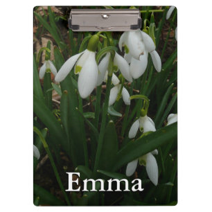 Carpeta De Pinza Flores de Primavera Blanca (Galanthus)