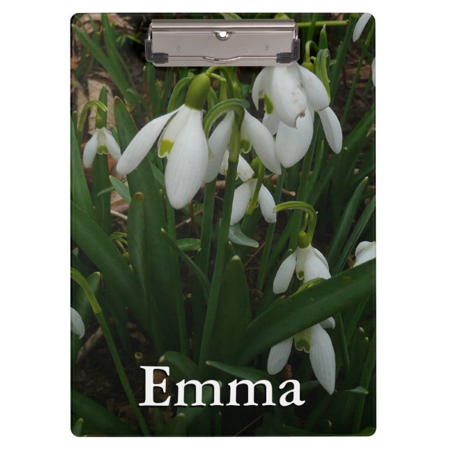 Carpeta De Pinza Flores de Primavera Blanca (Galanthus) (Anverso)
