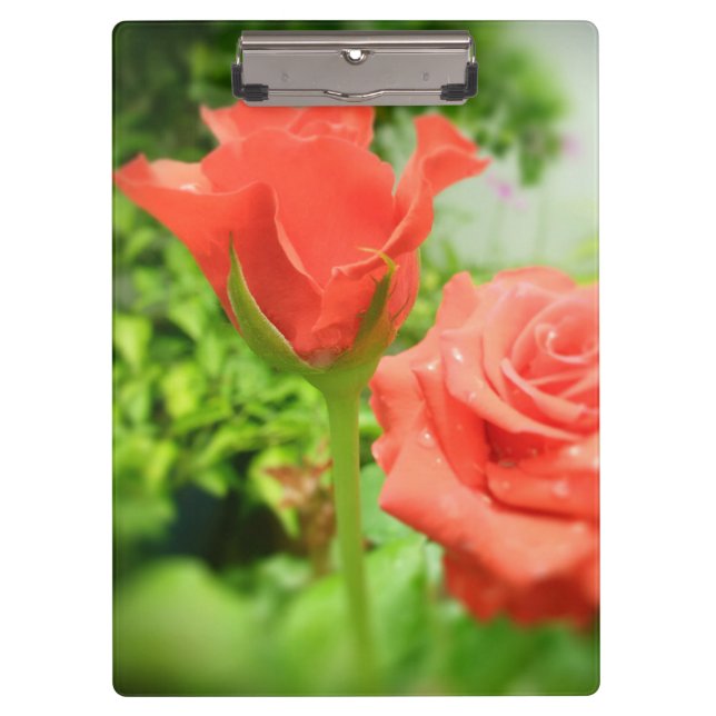 Carpeta De Pinza Flores de Rosa románticas (Anverso)