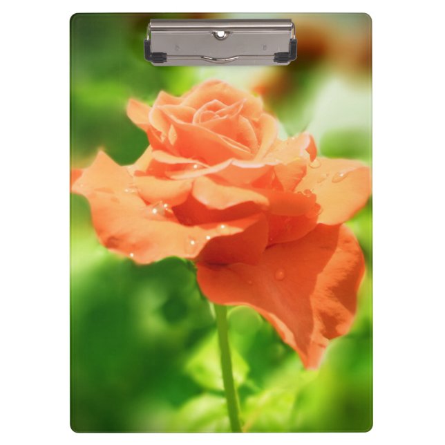 Carpeta De Pinza Flores de Rosa románticas #2 (Anverso)