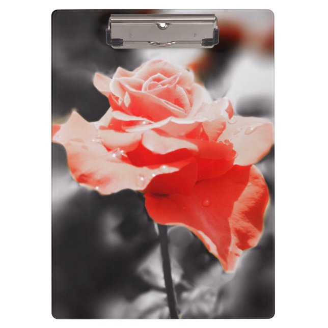 Carpeta De Pinza Flores de Rosa románticas #3 (Anverso)
