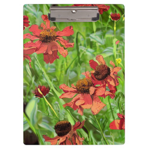 CARPETA DE PINZA FLORES DE RUDBECKIA ROJOS