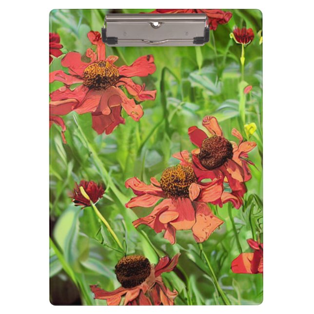 CARPETA DE PINZA FLORES DE RUDBECKIA ROJOS (Anverso)