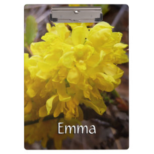Carpeta De Pinza Flores de uva de Oregón Flores silvestres amarilla