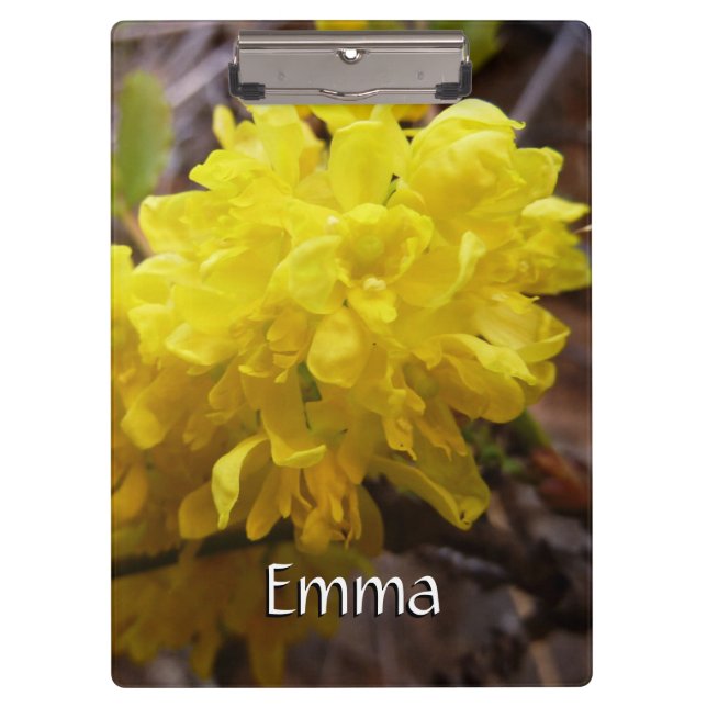 Carpeta De Pinza Flores de uva de Oregón Flores silvestres amarilla (Anverso)