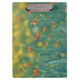 Carpeta De Pinza Flores de verano (Campo floral) (Flores rojas)