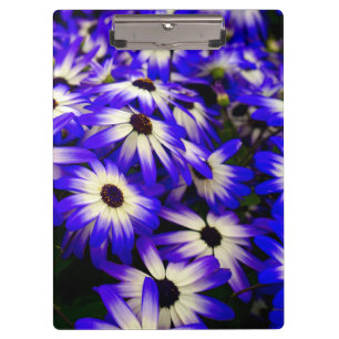 Carpeta De Pinza Flores digitales azules y blancas brillantes