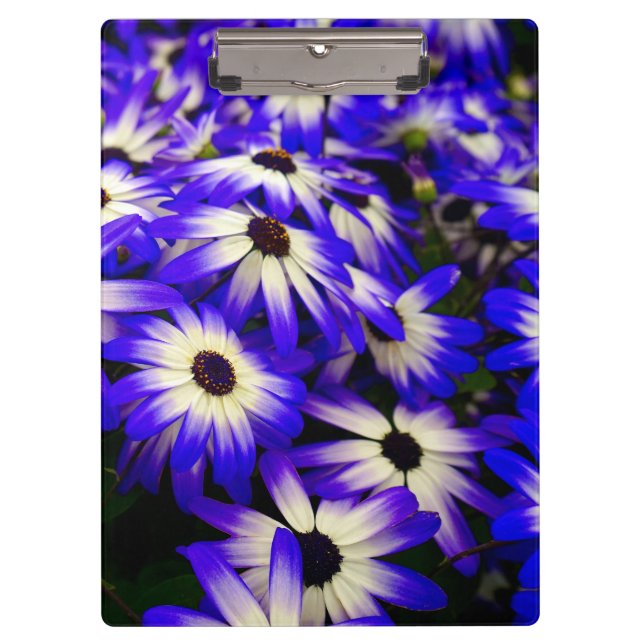 Carpeta De Pinza Flores digitales azules y blancas brillantes (Anverso)