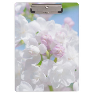Carpeta De Pinza Flores Lilac