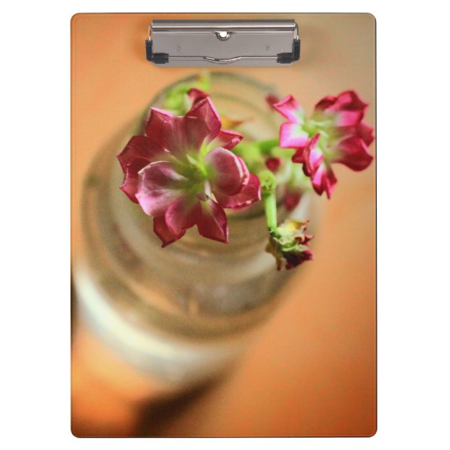 Carpeta De Pinza Flores magenta (Anverso)