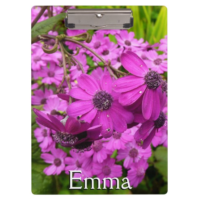 Carpeta De Pinza Flores moradas de San Francisco (Anverso)