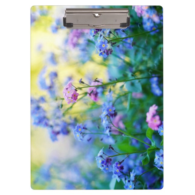 Carpeta De Pinza Flores nomeolvides (Anverso)